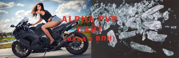 стафф Богородицк