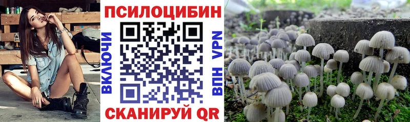 даркнет формула  Горняк  Псилоцибиновые грибы Psilocybine cubensis 